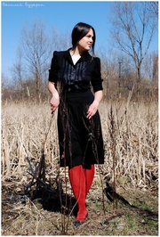 ���������� ����