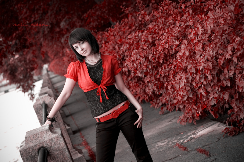 ��������� ����