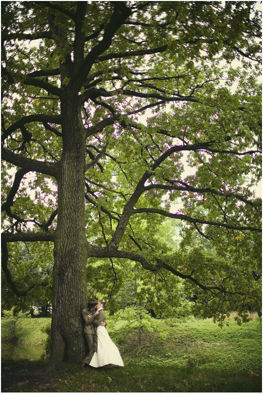 ��������� ����