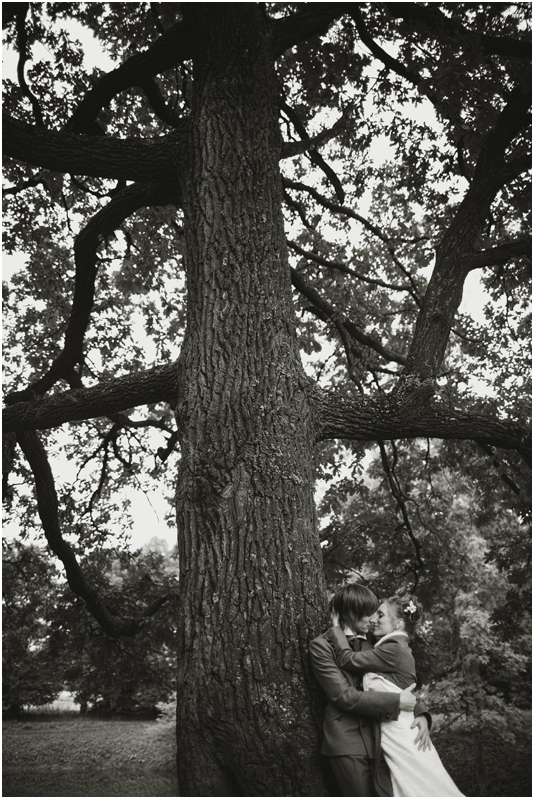 ��������� ����