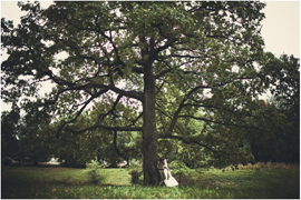 ���� ������� ��������