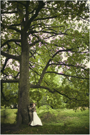 ���� ������� ��������