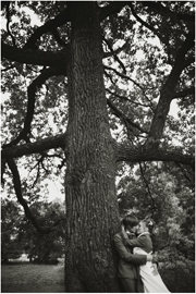 ���� ������� ��������