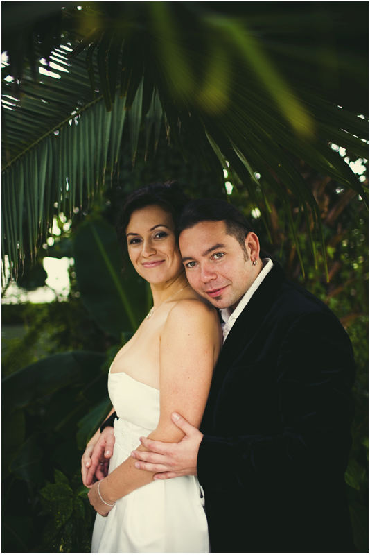 ��������� ����