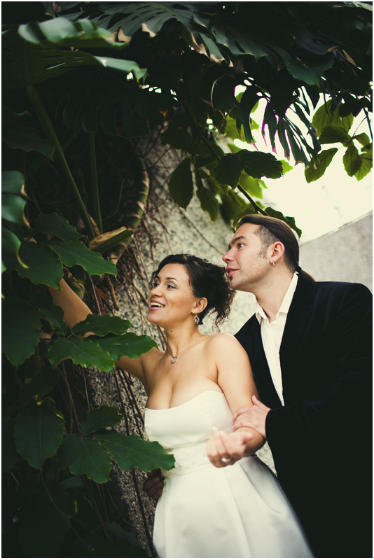 ��������� ����