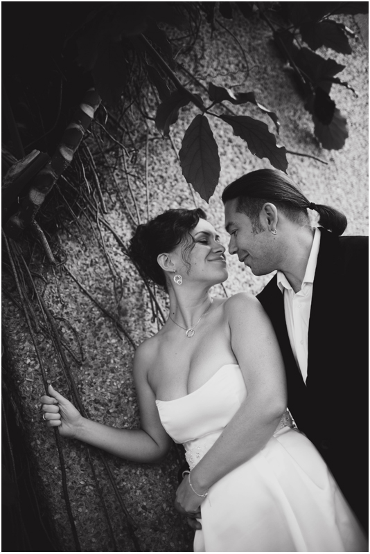 ��������� ����