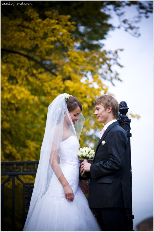 ��������� ����