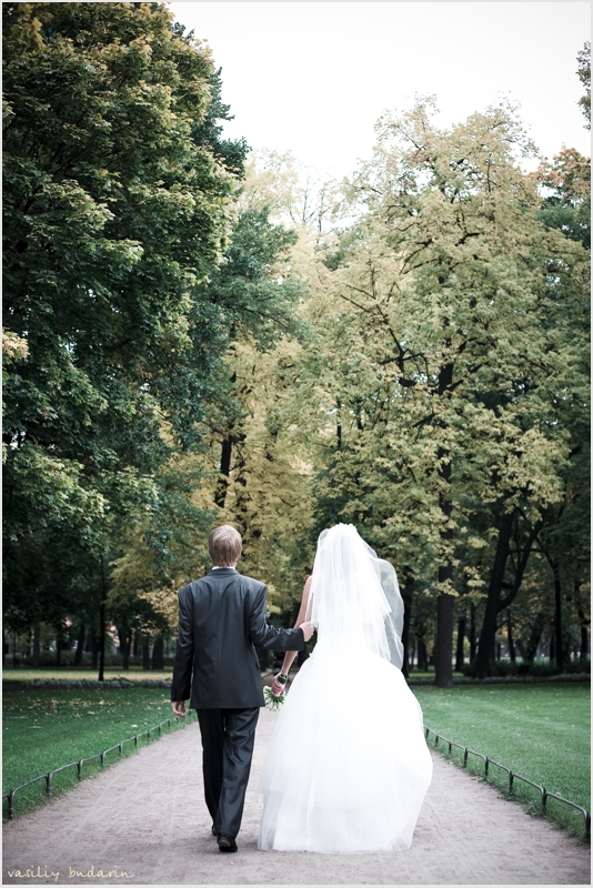 ��������� ����