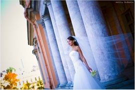 ���� ������� ��������