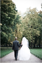 ���� ������� ��������