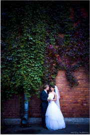 ���� ������� ��������