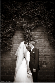 ���� ������� ��������