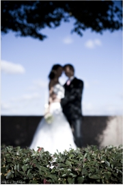 ���� ������� ��������