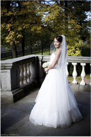 ���� ������� ��������