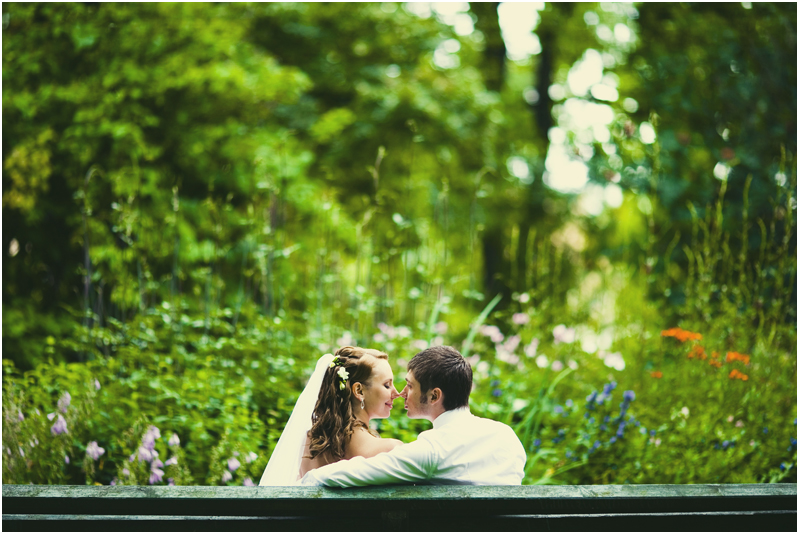 ��������� ����