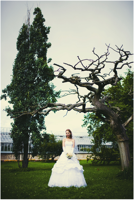 ��������� ����