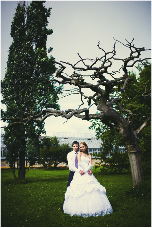 ��������� ����