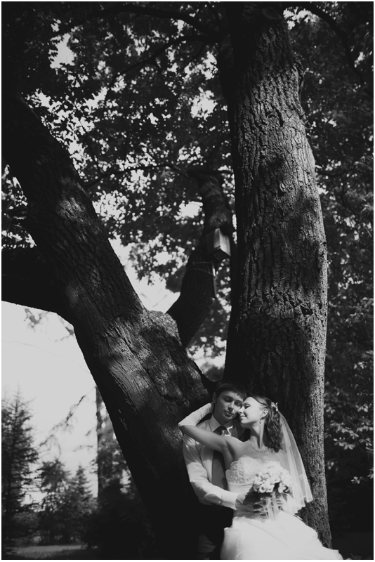 ��������� ����