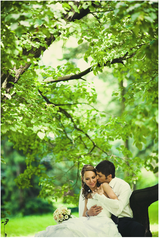 ��������� ����