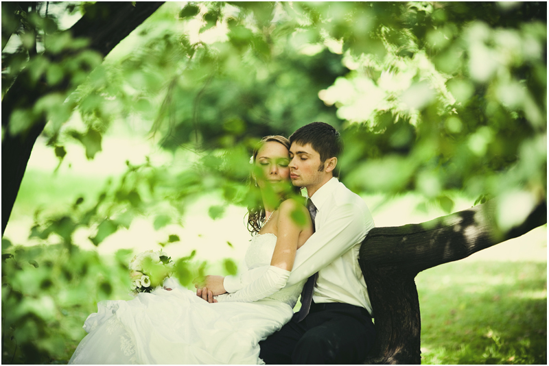 ��������� ����