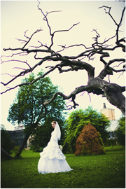 ���� ������� ��������