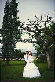 ���� ������� ��������