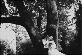 ���� ������� ��������