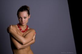 ���� ������� ��������