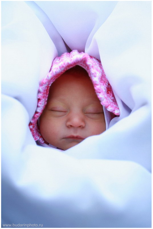 ��������� ����