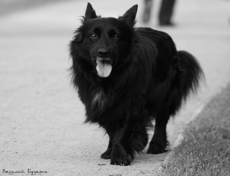 ��������� ����