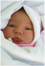 ���� ������� ��������