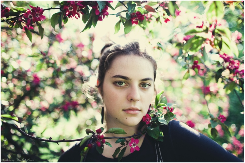 ��������� ����