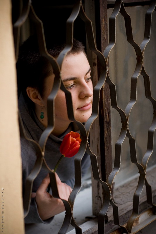 ��������� ����