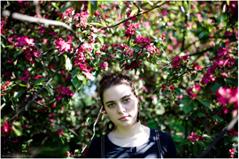 ���� ������� ��������