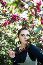 ���� ������� ��������